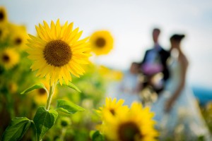 Montecucco Matrimonio Toscana Grosseto Cinigiano Sposi cerimonia fotografo