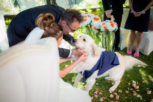 andana matrimonio castiglione della pescaia grosseto wedding tenuta la badiola