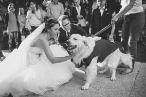 andana matrimonio castiglione della pescaia grosseto wedding tenuta la badiola