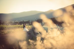 andana matrimonio castiglione della pescaia grosseto wedding tenuta la badiola