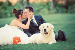 andana matrimonio castiglione della pescaia grosseto wedding tenuta la badiola
