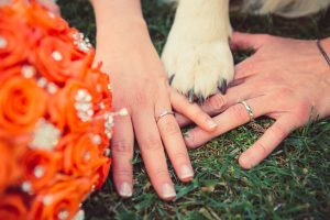 andana matrimonio castiglione della pescaia grosseto wedding tenuta la badiola