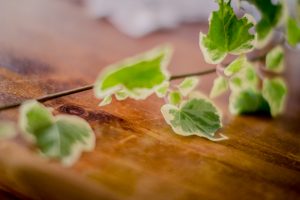 Matrimonio Populonia Golfo Baratti Venturina Livorno Fotografo