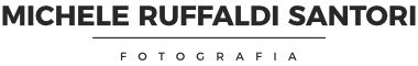 logo michele ruffaldi santori